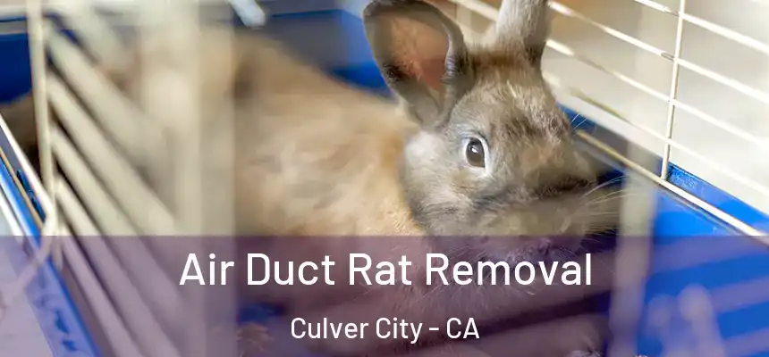  Air Duct Rat Removal Culver City - CA