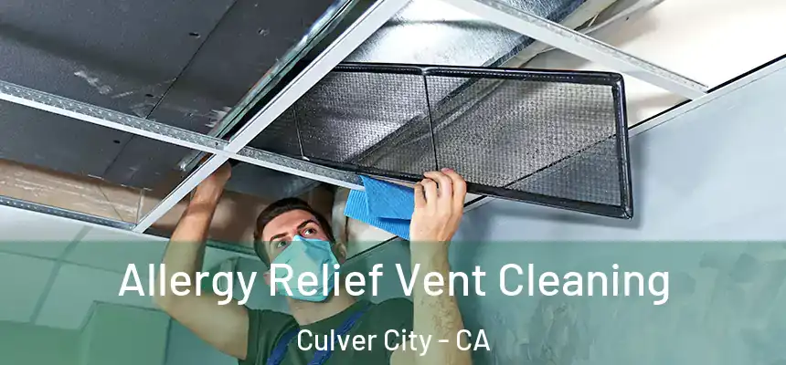  Allergy Relief Vent Cleaning Culver City - CA