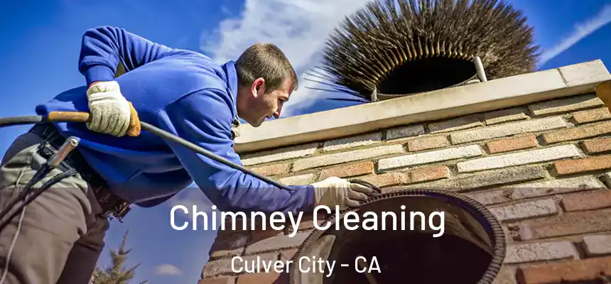 Chimney Cleaning Culver City - CA