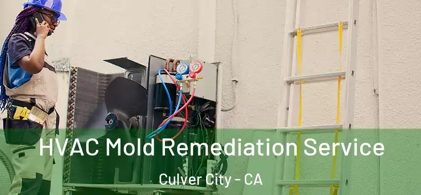  HVAC Mold Remediation Service Culver City - CA