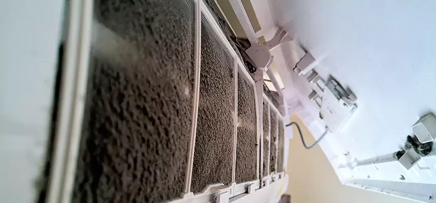 Preventive Air Duct Bacteria Removal in Culver City