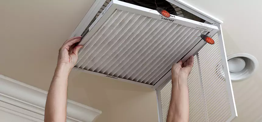 Preventive Cockroach-Proofing for Ducts in Culver City