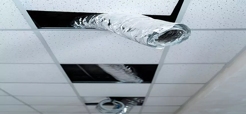 Affordable HVAC Sanitizing After Pest Removal in Culver City