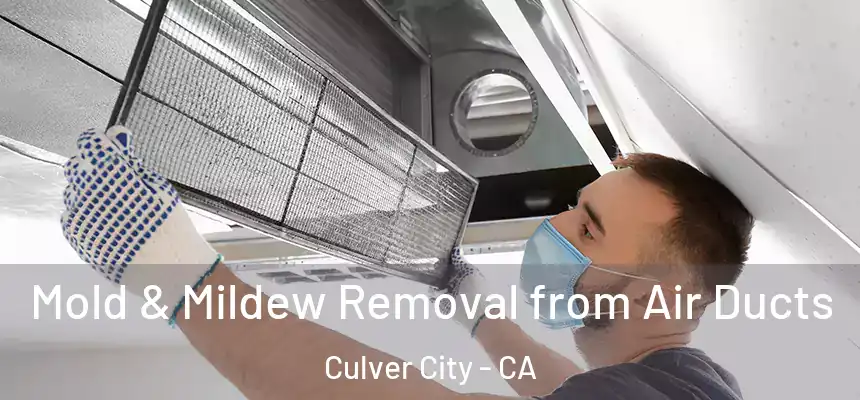  Mold & Mildew Removal from Air Ducts Culver City - CA