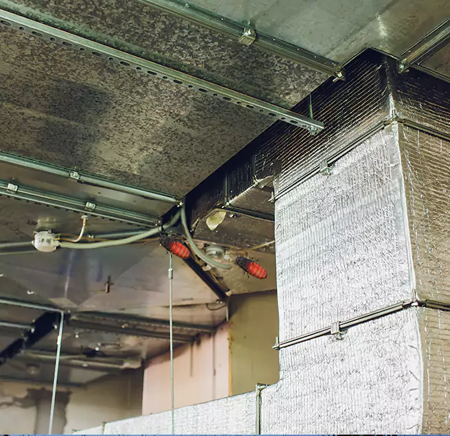 Why Homeowners & Businesses Trust Us in Culver City, CA?