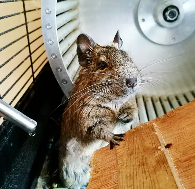 Why Homeowners & Businesses Trust Us Culver City, CA?