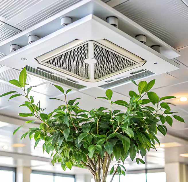 Why Homeowners & Businesses Trust Us in Culver City, CA?